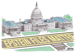 EPSTEIN FILES MATTER by R.J. Matson