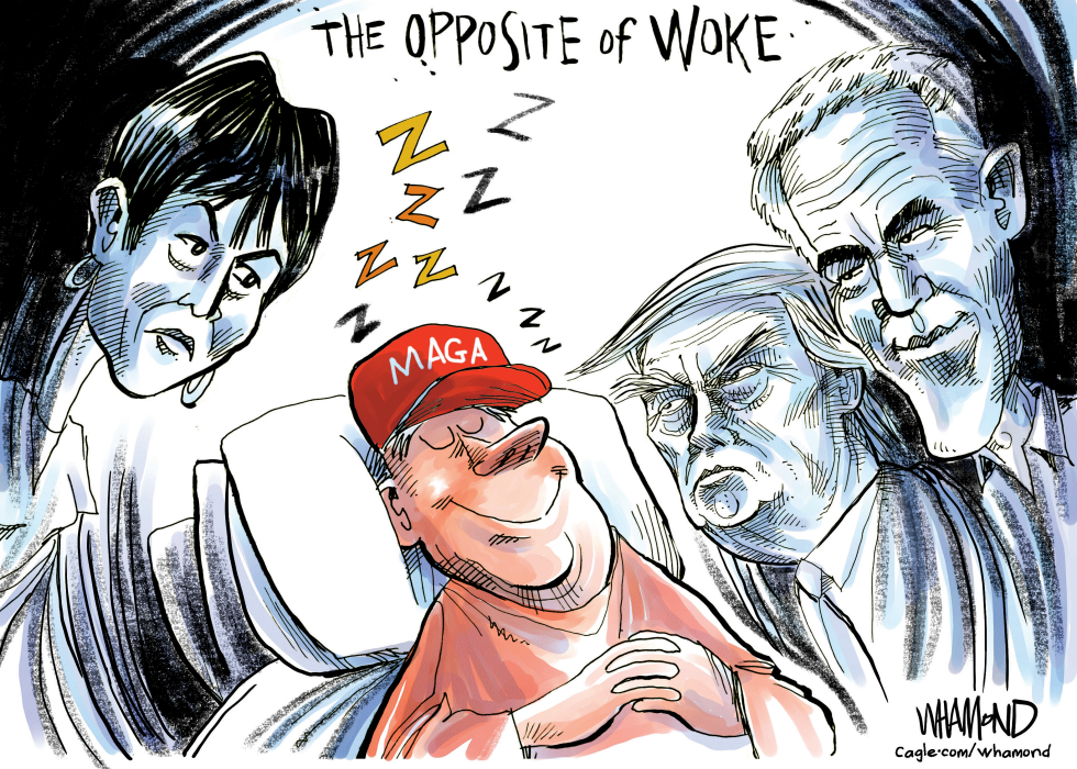 The opposite of woke