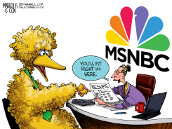 BIG BIRD NEEDS A JOB by Margolis & Cox