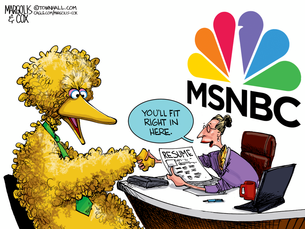 Big Bird Needs A Job