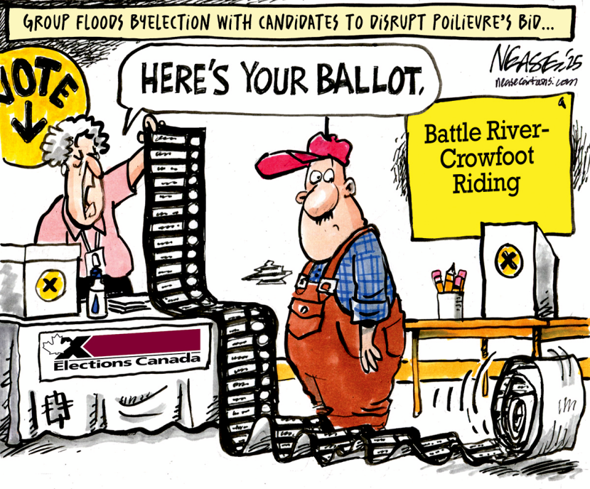 Long Ballot