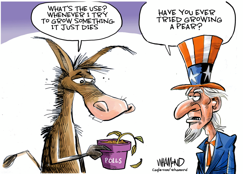 Democrats need to show some spine