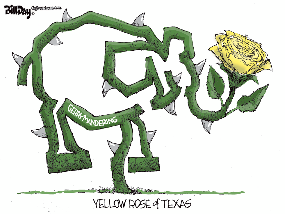 Texas Gerrymandering