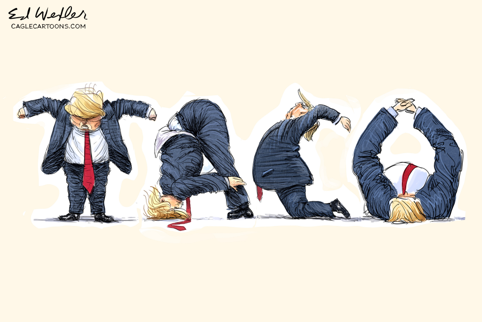 Trump TACO
