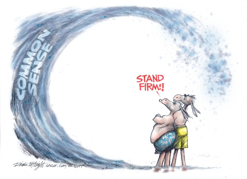 Democrat Loss of Common Sense