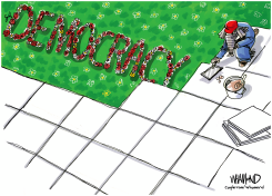 THEY PAVED DEMOCRACY AND PUT UP A PATIO by Dave Whamond