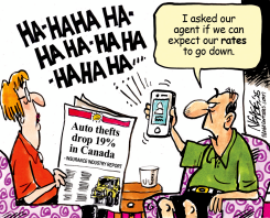 AUTO THEFT by Steve Nease