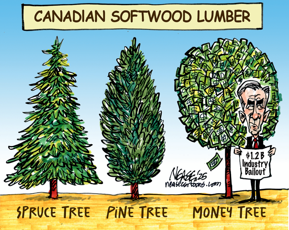 Lumber