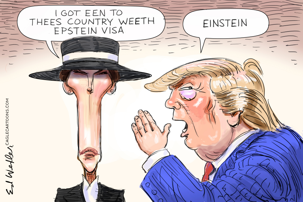 Einstein Visa Not Epstein