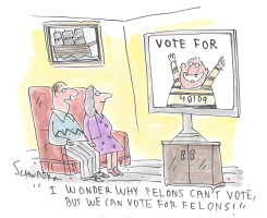 VOTE FOR FELONS by Harley Schwadron