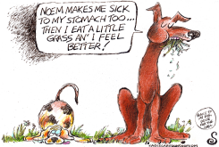 TWO DOGS DISCUSS NOEM by Randall Enos