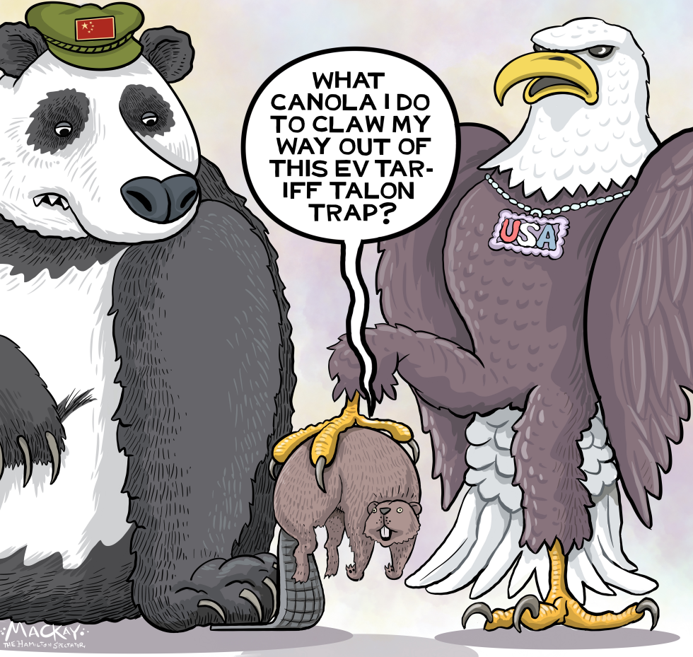 Canada beaver tormented by panda and bald eagle