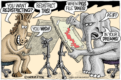 DEM AND GOP REDISTRICTING WRANGLE by Monte Wolverton