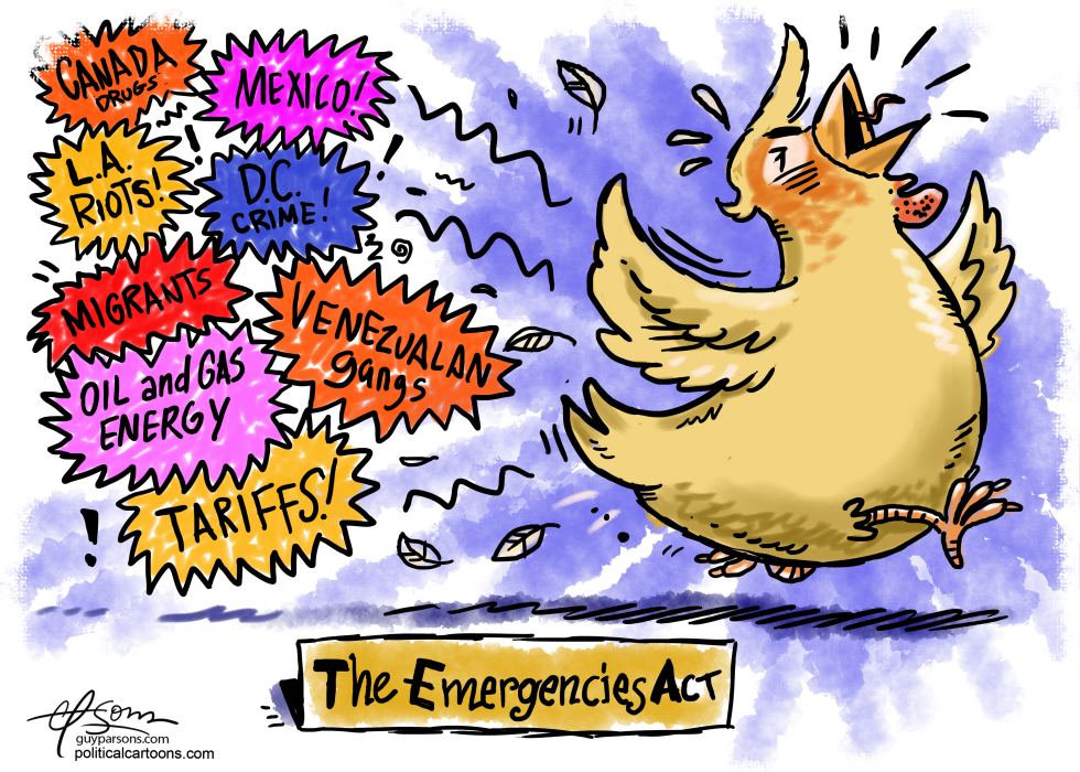 Trump emergencies chicken little