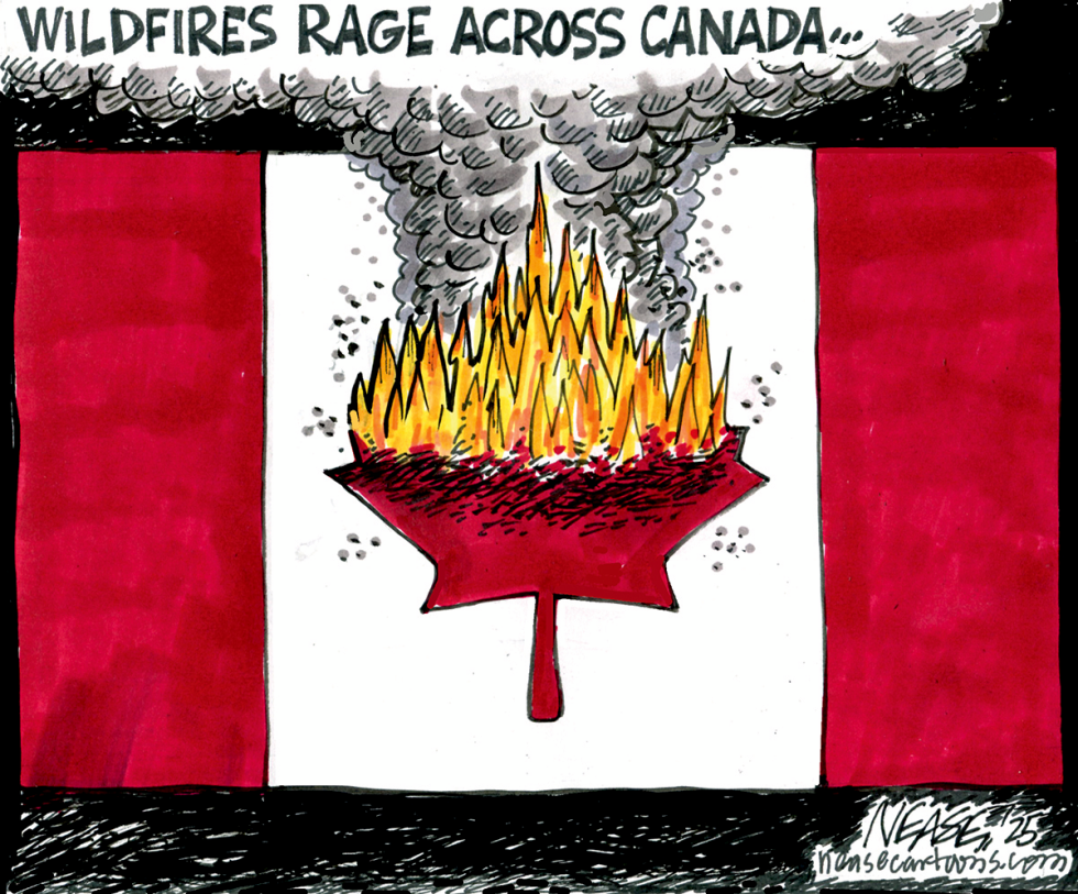 Wildfires