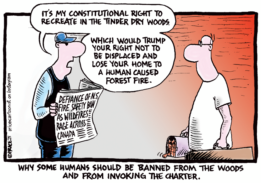Banned From The Woods