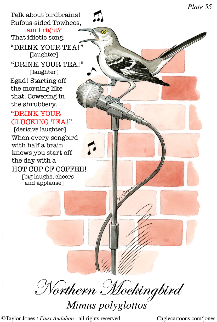 Bird humor - mockingbird