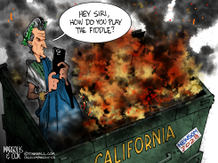 NEWSOM'S CALIFORNIA DUMPSTER FIRE by Margolis & Cox