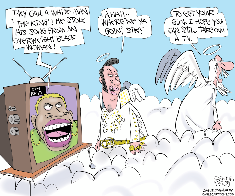 Joy Reid Criticizes Elvis