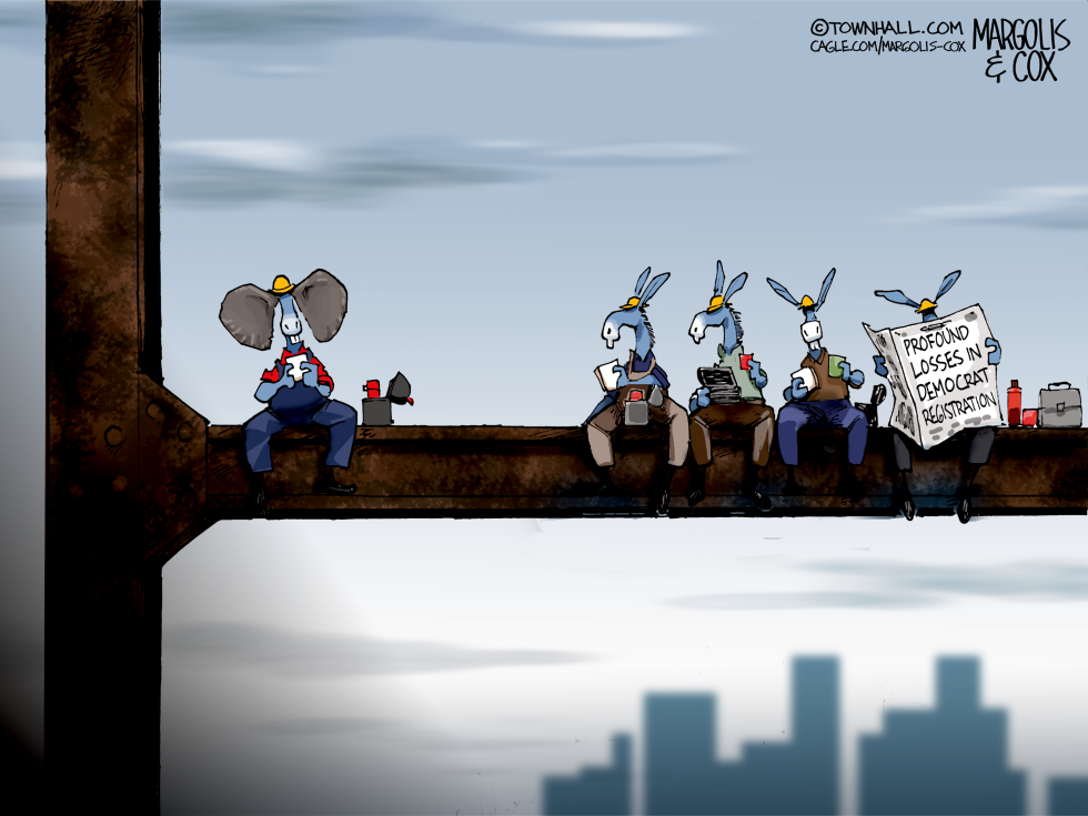 Democrats Are Losing Voters
