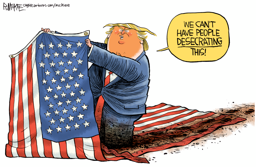 Trump Flag Desecration