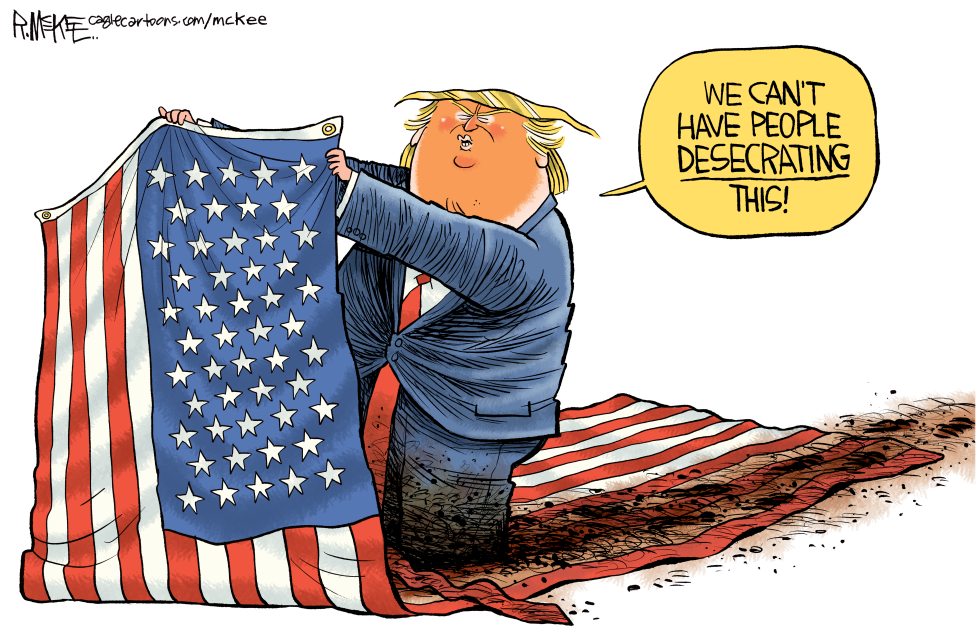 Trump Flag Desecration