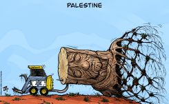 INDIGENOUS GAZA PALESTINE UPROOT OLIVE TREE ISRAEL by Emad Hajjaj