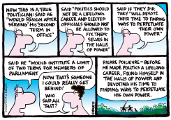 THE TRUE POLITICIAN by Ingrid Rice