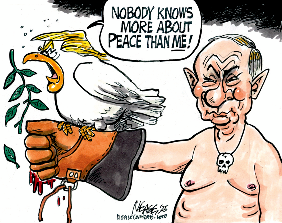 Trump Dove
