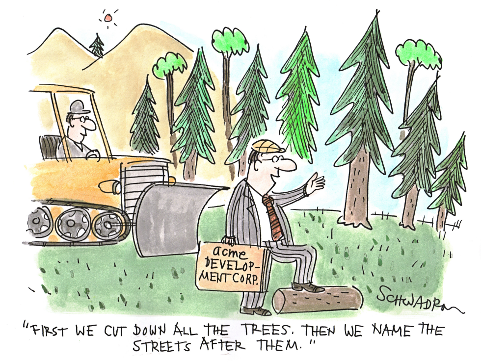 Cut Down Trees