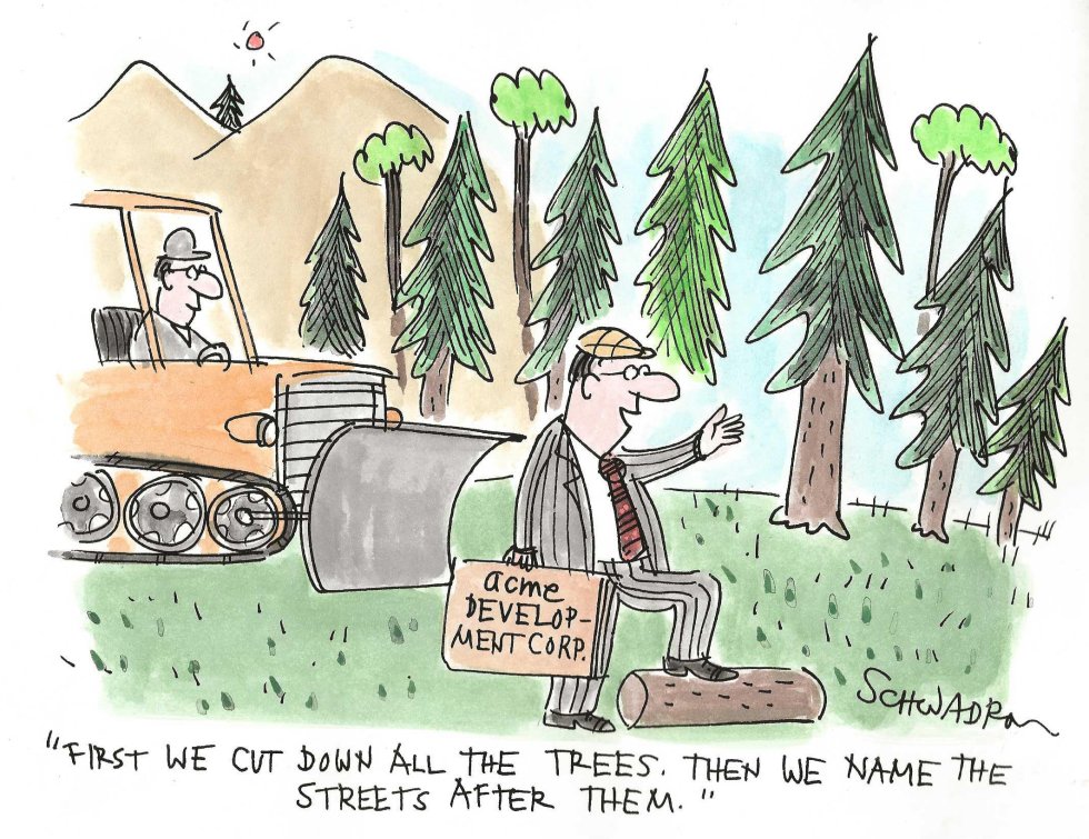 Girst We Cut Down the Trees, Then We Name the Streets After Them