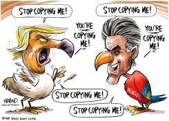NEWSOM COPYING TRUMP by Dave Whamond