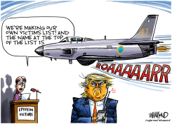 TRUMP DOES EPSTEIN FLYOVER by Dave Whamond