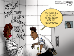 CRAZY MAXINE WATERS by Margolis & Cox