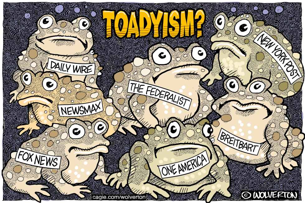 The Most Toady News Outlets