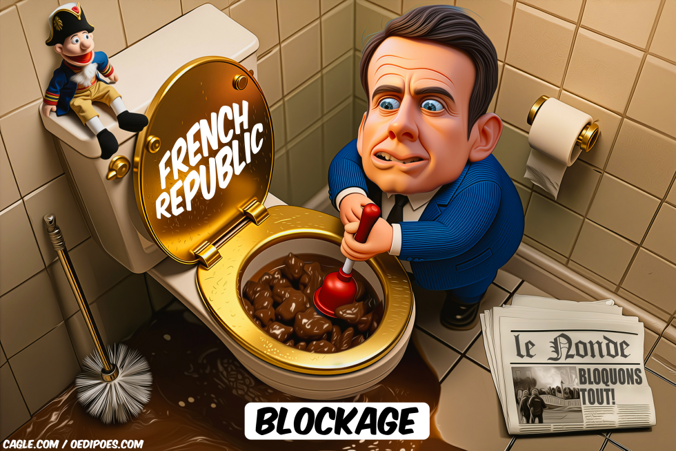 macron trying to unclog full toilet