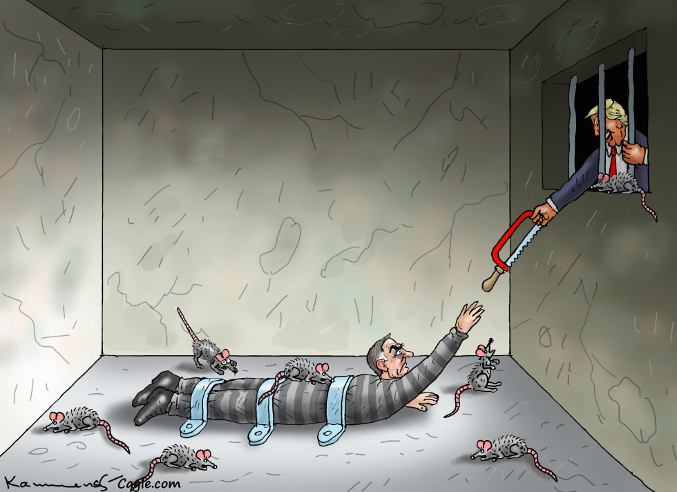 THE DIFFERENCE BETWEEN US AND BRAZILIAN DEMOCRACY