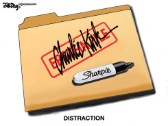 EPSTEIN FILE DISTRACTION by Bill Day