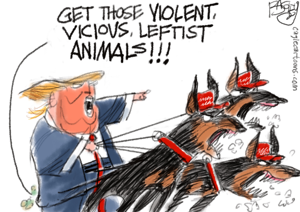 Political Violence