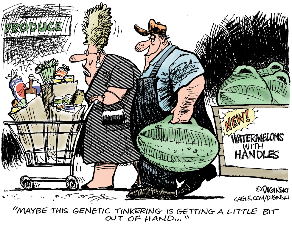 Genetically engineered watermelons with handles