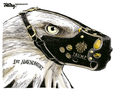 FREE SPEECH by Bill Day