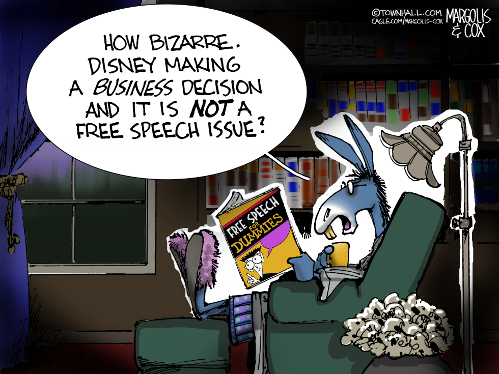 Free Speech for Dummies