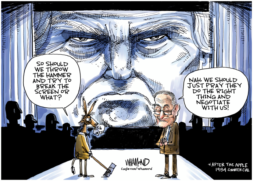 Democrats fight back