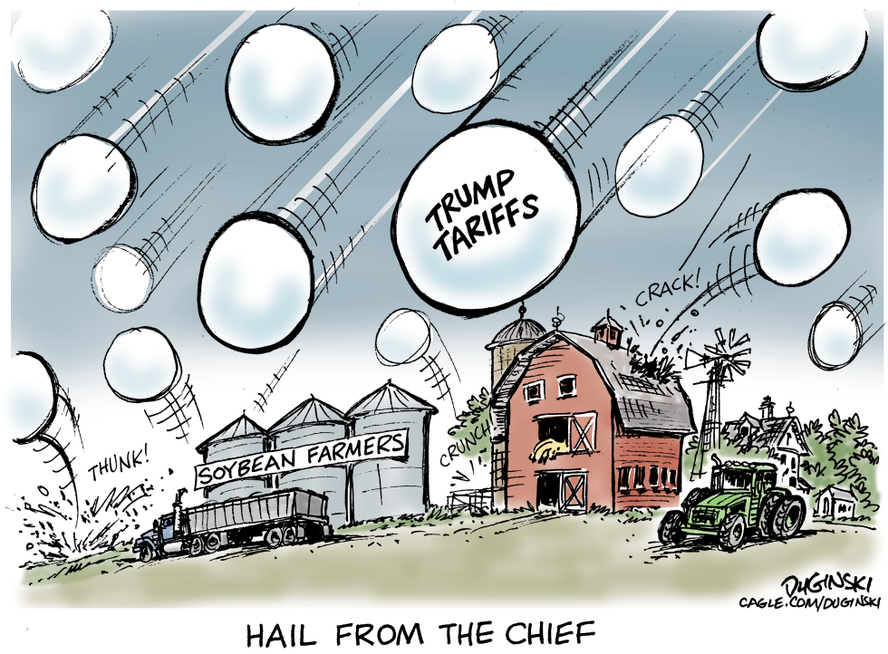 Trump Tariffs Strike Soybean Farmers Like Destructive Hail