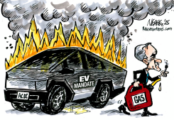 EV MANDATE by Steve Nease