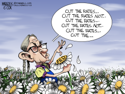 JEROME POWELL'S DAISY by Margolis & Cox