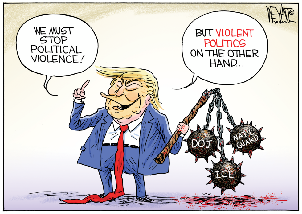 Political Violence or Violent Politics