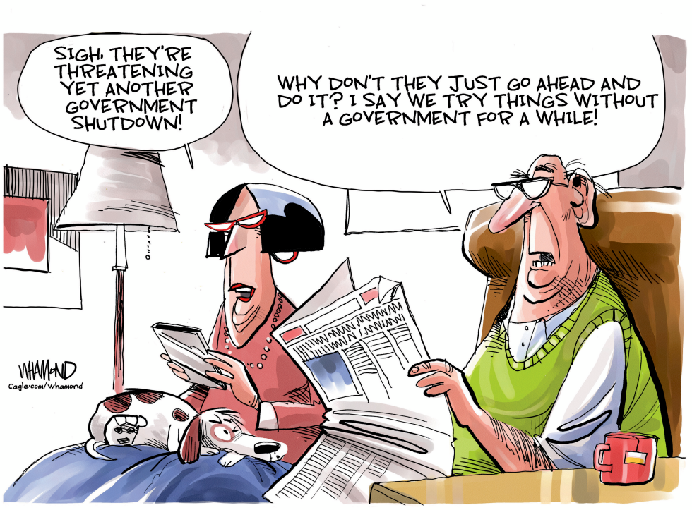 Another Government Shutdown