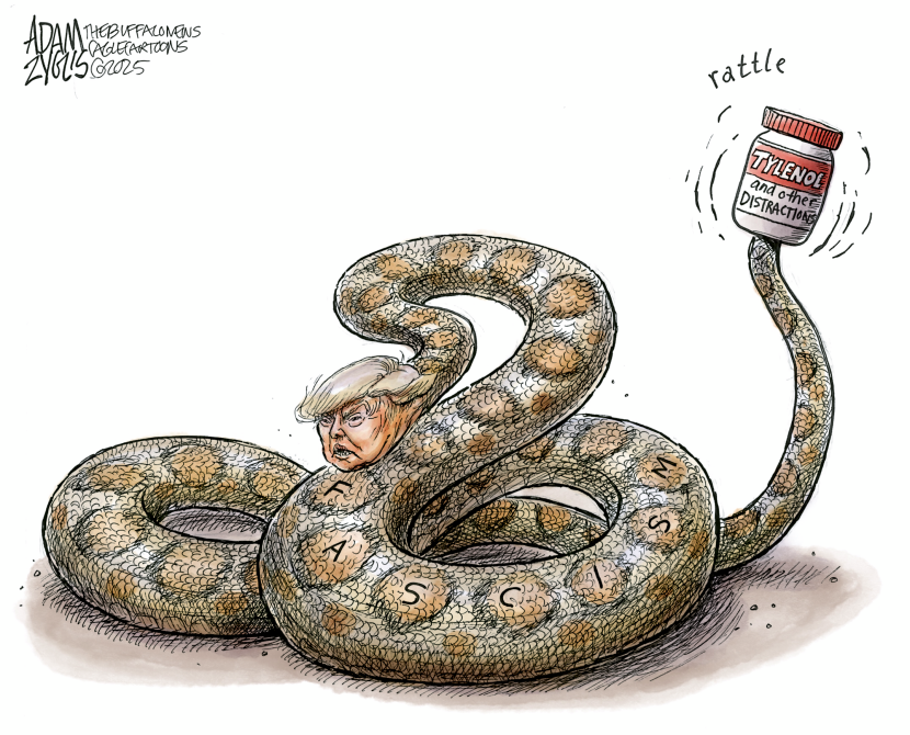 Trump Distractions