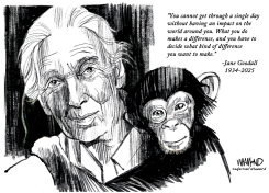 JANE GOODALL RIP by Dave Whamond